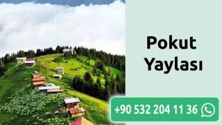 Pokut Yaylası